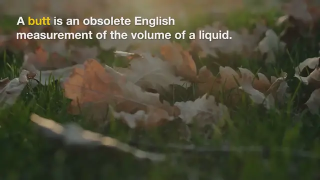 Video thumbnail for However, there are a variety of colloquial terms used to describe the butt