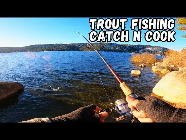 Video thumbnail for Lake Side Catch and Cook | Big Bear Lake Trout Fishing | Day 2