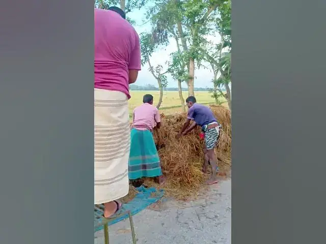 'Video thumbnail for কৃষকের সহায়ক শক্তি – আধুনিক যন্ত্রের জাদু! By Village Media'