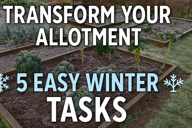'Video thumbnail for ✅ “5 Essential Winter Allotment Jobs | Easy Tasks to Transform Your Garden'
