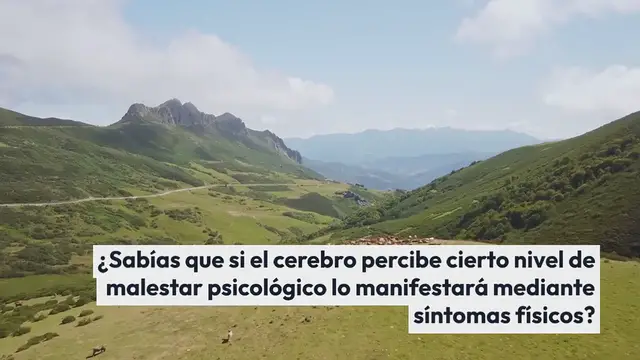 Video thumbnail for El cerebro emocional: la empatía