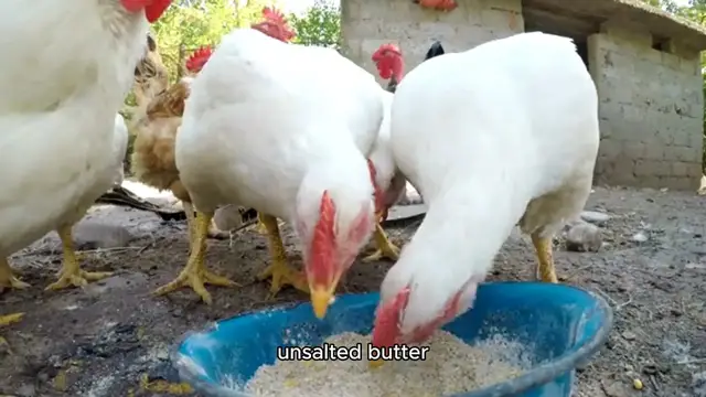 Video thumbnail for Roasted Cornish Hens