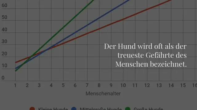 Video thumbnail for Wie alt werden Hunde? (Alle Rassen im Vergleich)