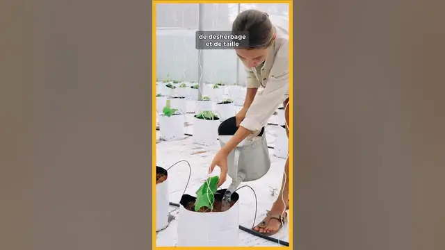 Video thumbnail for 🎍Entretien de JARDIN SANS EFFORT : Les astuces  ! 🧑‍🌾 🍄