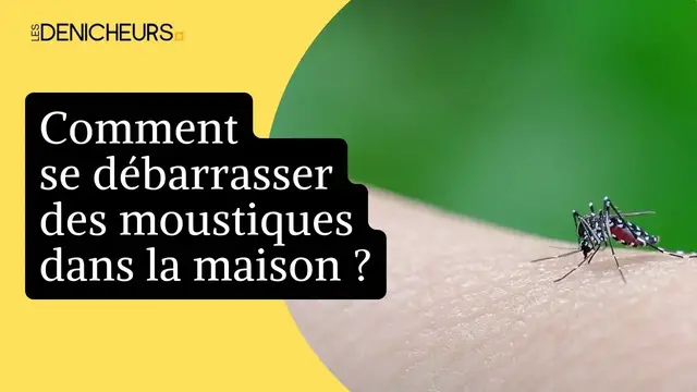 Video thumbnail for 🦟  Comment se débarrasser facilement des moustiques dans la maison 🏡