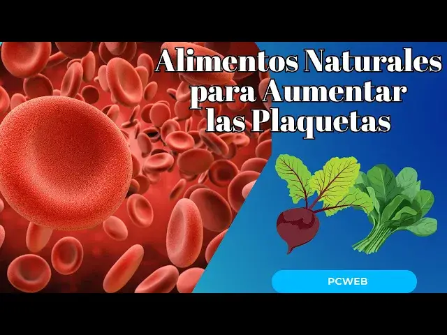 Video thumbnail for Alimentos Naturales para Aumentar las Plaquetas de Forma Efectiva