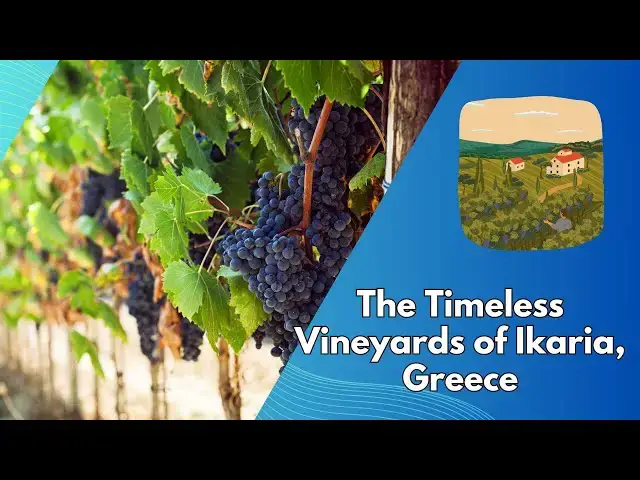 Video thumbnail for The Timeless Vineyards of Ikaria, Greece: A Journey into Tradition and Taste