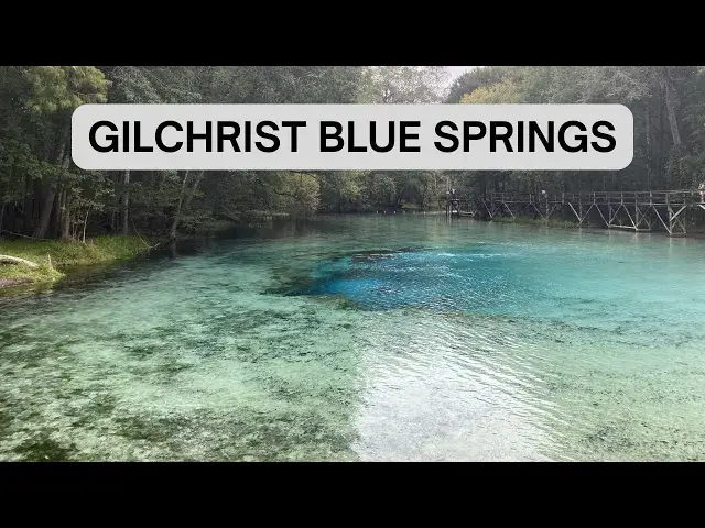 Video thumbnail for Cenote en la Florida río Gilchrist blue springs