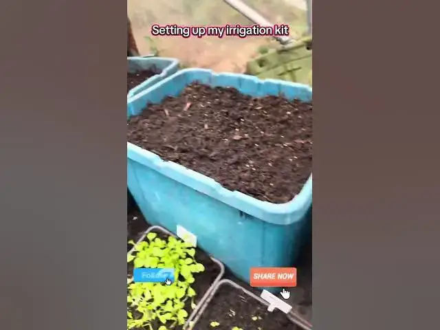 'Video thumbnail for Create a DIY Irrigation System for Healthy Plants'