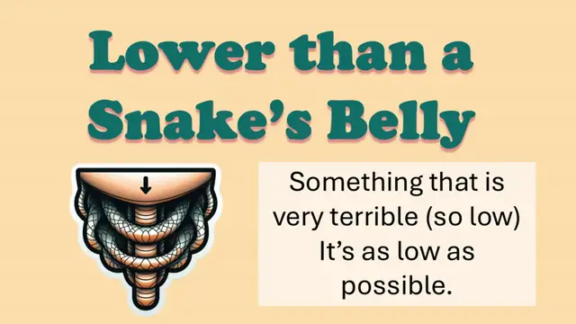 Video thumbnail for Lower Than A Snake's Belly -  Learn This Common English Idiom
