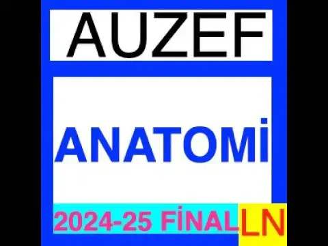 Video thumbnail for Anatomi 2024-2025 Final Soruları