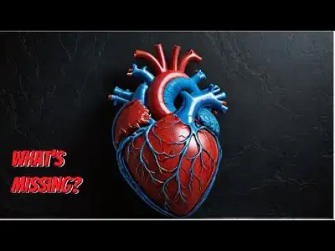 Video thumbnail for Ontología en Ciencias Médicas Generales: Una Base Estructurada para el Conocimiento Médico