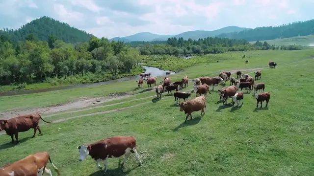 Video thumbnail for Secrets You Never Realized About Preparing Steak
