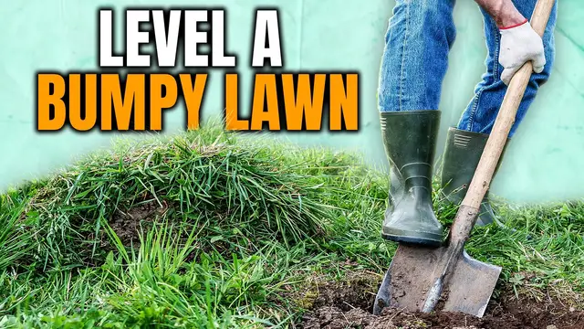 Video thumbnail for The Affordable Way To Level A Bumpy Lawn (Without Heavy Equipment)