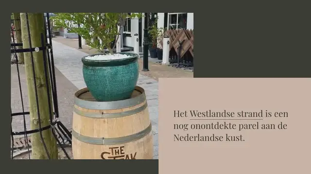 Video thumbnail for The Steak Club ’s Gravenzande