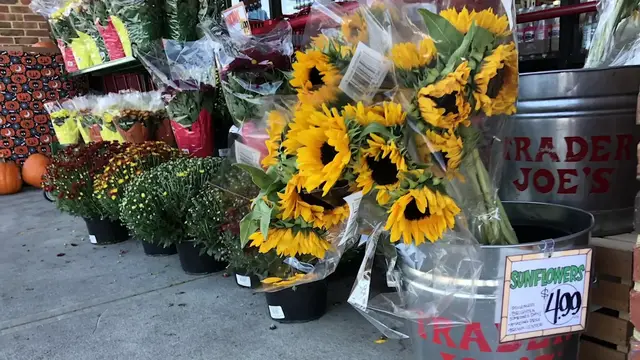 'Video thumbnail for Things You Should Never Do In Trader Joe's'