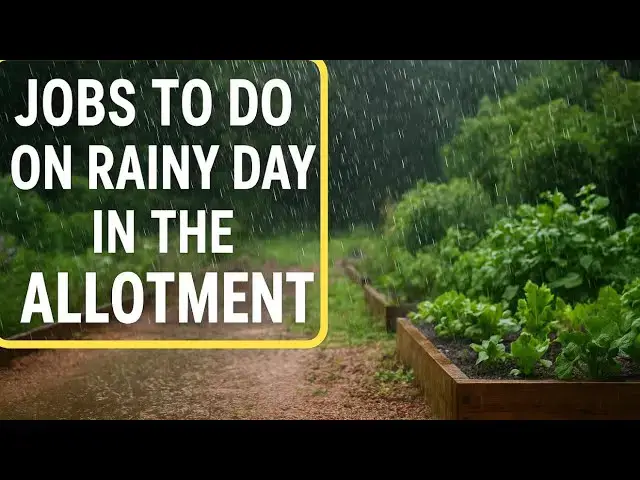'Video thumbnail for ✅ Rainy Day Gardening Jobs 🌧️🌱 | Essential Autumn & Winter Allotment Tasks'