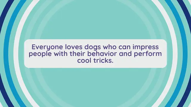 Video thumbnail for 10 Basic Commands Your Dog Should Know