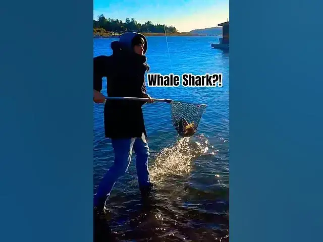 Video thumbnail for I Caught a Fish! 🦈