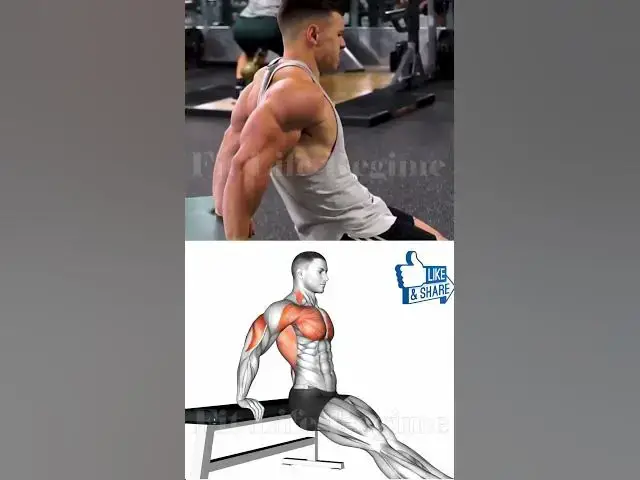 Video thumbnail for How to Get Bigger Triceps FAST (Top 5 exercises) 🔥💪