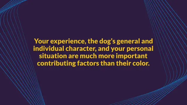 Video thumbnail for 20 gray dog breeds (with pictures)