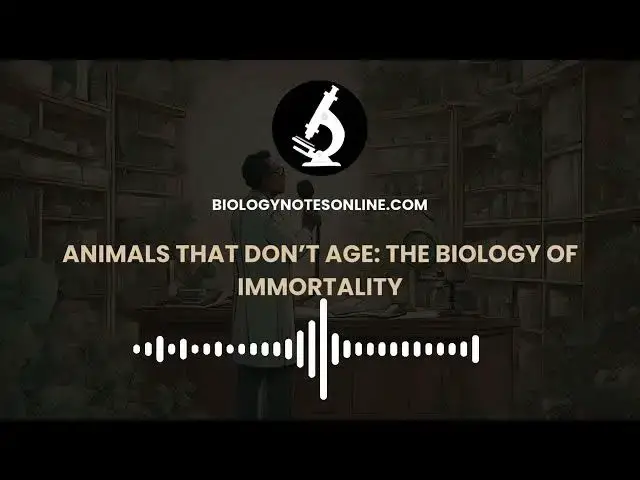 Video thumbnail for Animals That Don’t Age: The Biology of Immortality