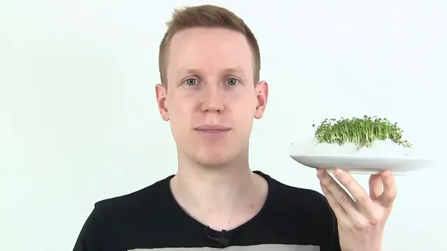 Video thumbnail for Kresse Anbauen mit Watte  ULTIMATIVE ANLEITUNG Wie Gartenkresse Samen Sen, Pflanzen & Ernten