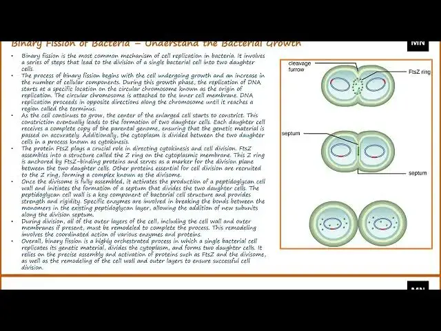 Video thumbnail for Bacterial Growth Curve Lecture Video – Definition, Phases, Factors, Importance