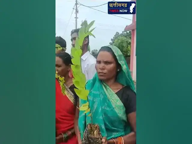 'Video thumbnail for एक पेड़ माँ के नाम अभियान के तहत ,अनेकों पेड़ जा रहे हैं शिक्षिका ने बताई लोंगो को पेड़ का महत्व'