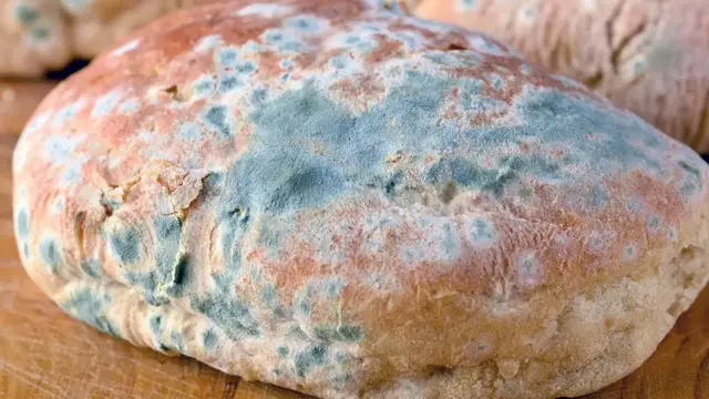 'Video thumbnail for The One Item From Trader Joe's That Will Never Stay Fresh'