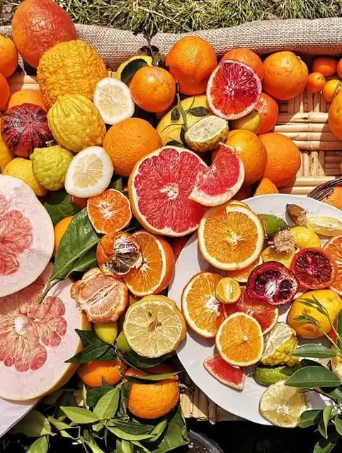 Video thumbnail for Italian Agrumi: Fresh Citrus Delights
