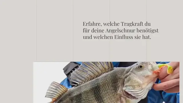 Video thumbnail for Tabelle: Tragkraft von monofiler & geflochtener Angelschnur