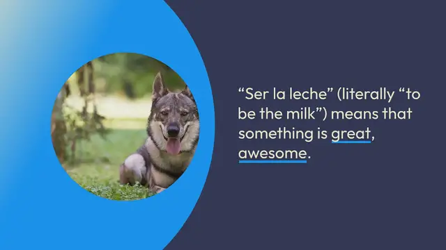 Video thumbnail for +300 spanish dog names that are la leche