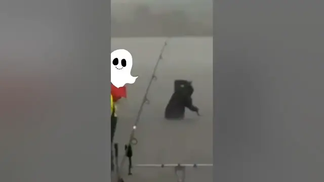 Video thumbnail for Fisherman gets zapped *shocking* #fail #fishing #thunderstorm #closecall