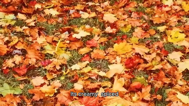 Video thumbnail for vegan pumpkin pie recipe