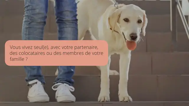Video thumbnail for 10 avantages d’avoir un chien
