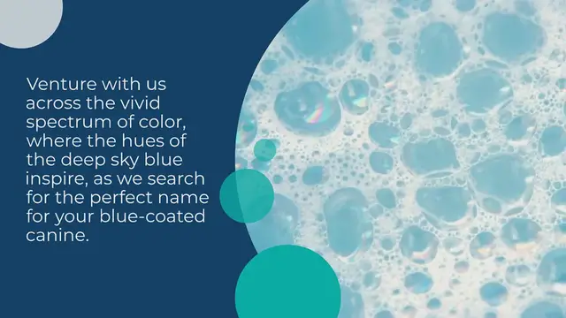 Video thumbnail for 300+ Blue Dog Names for your Furry Wave of Happiness