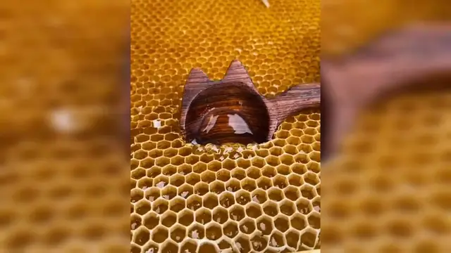 Video thumbnail for Oddly satisfying videos  with calming deep sleep