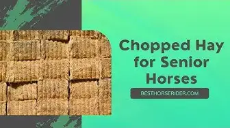 Video thumbnail for Chopped Hay for Senior Horses