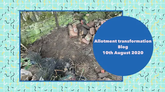 'Video thumbnail for 🎥 ✅ Allotment Transformation 🌿✨ | Amazing Progress & Big Improvements – August 10th 2020 Update 🌱🏡'