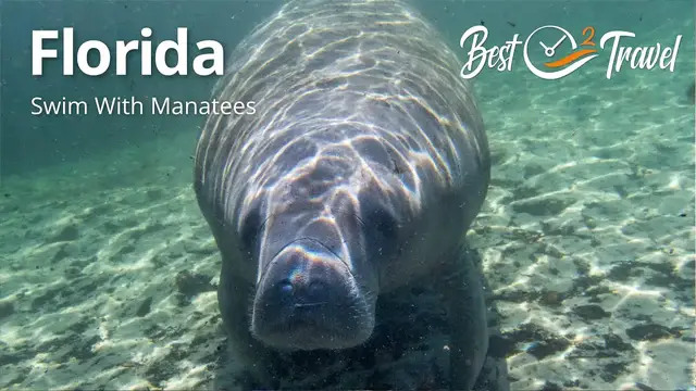 Video thumbnail for Swim With Manatees in Florida