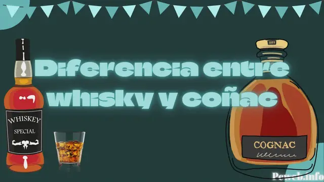 Video thumbnail for Diferencia entre whisky y coñac