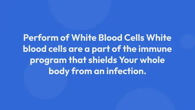 Video thumbnail for New Step By Step Map For celtics vs hawks