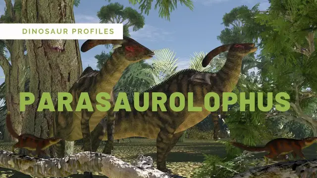 Video thumbnail for Parasaurolophus walkeri | What did Parasaurolophus SOUND like?