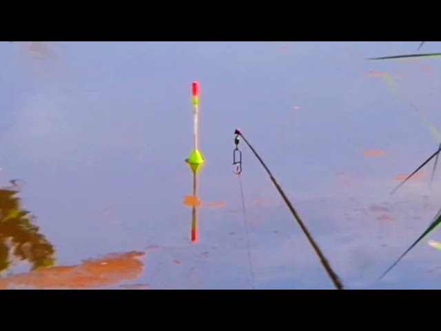 Video thumbnail for Spot mancing andalan bikin betah berlama-lama nongkrong