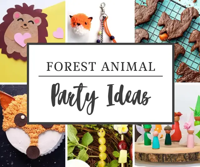 Video thumbnail for 30+ Enchanted Forest Theme Party Ideas