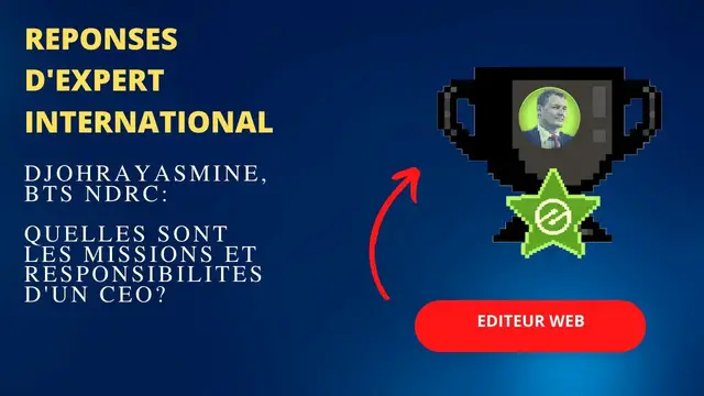 Video thumbnail for Quelles sont les missions et responsibilités d'un CEO?