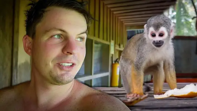 Video thumbnail for We Slept in a Monkey Sanctuary (backpacking in Colombia)