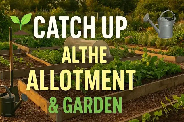 'Video thumbnail for Catch up at the allotment and garden'