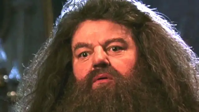 Video thumbnail for What The Stars Of Harry Potter Had To Say About Robbie Coltrane